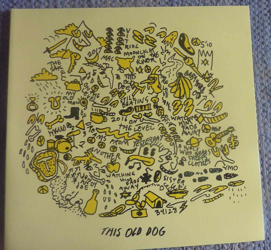 mac demarco this old dog